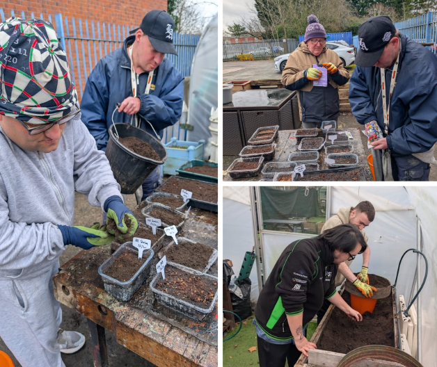 stepscic's tweet photo. Our gardening group has been busy getting everything ready for spring! We’ve been preparing seed beds, planting a lovely seasonal mix of seeds and chitting our potatoes so they’re ready for planting. Now we can’t wait to see the first signs of growth, roll on spring! https://t.co/Gf4bMwInzN