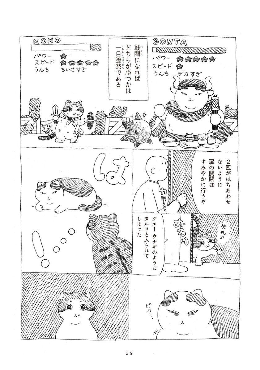 (5/5) 