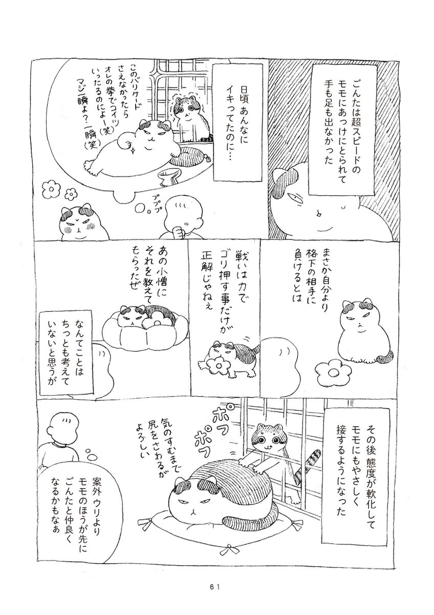 (5/5) 