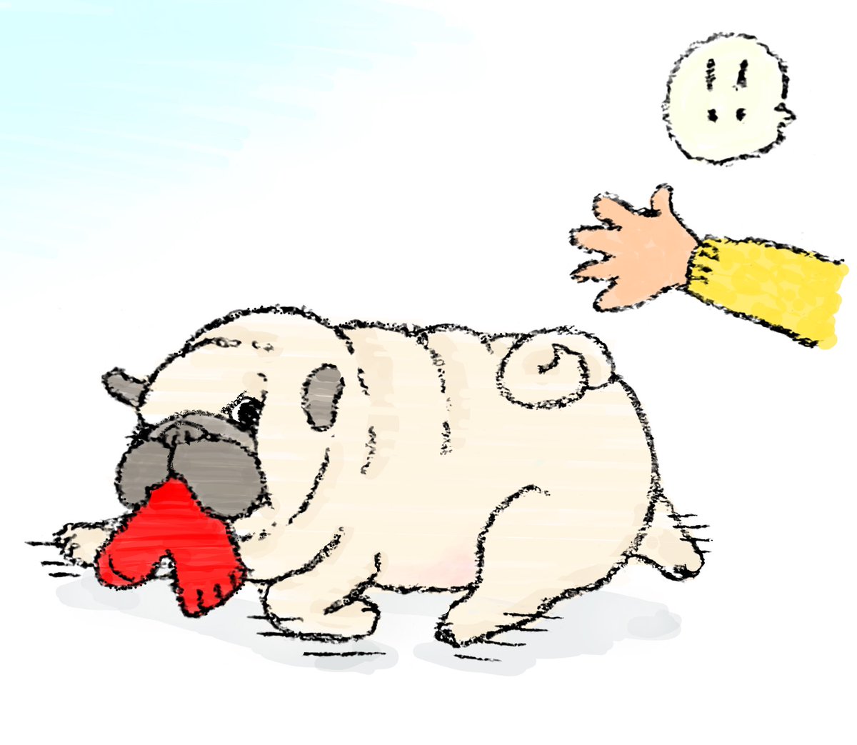 ハナちゃん (@89no87chan) / Posts / X