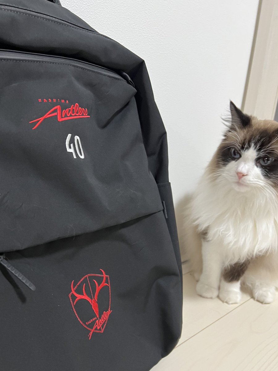 saltsale17's tweet image. ユニクロさん仕事が早い🙏
秋田サポさんの良すぎて真似させていただきました🙇‍♂️

#Jリーグユニクロ刺繍部 
#鹿島　#にゃんとらーず