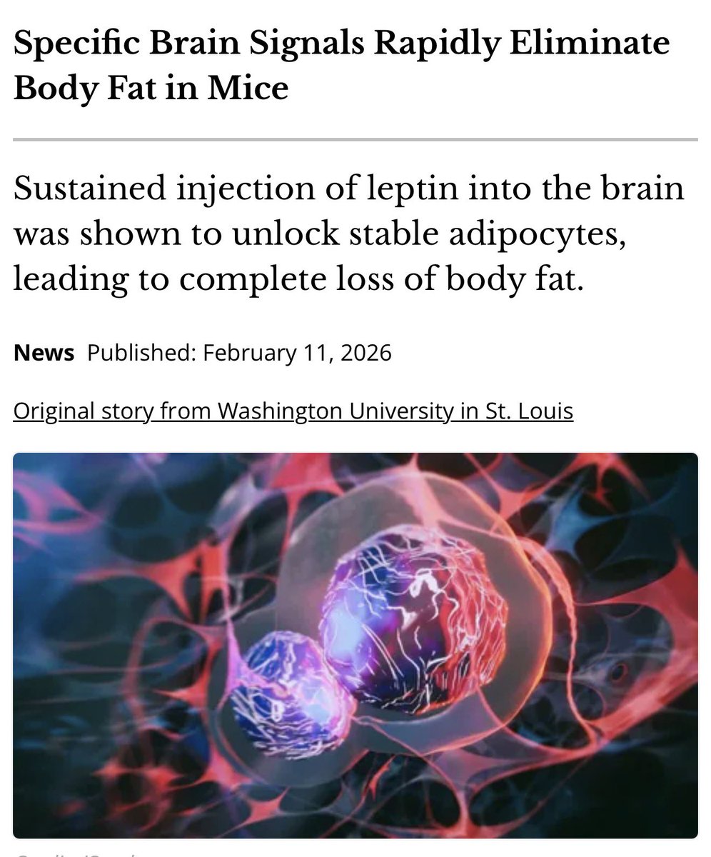 Professor Erwin Loh tweet media