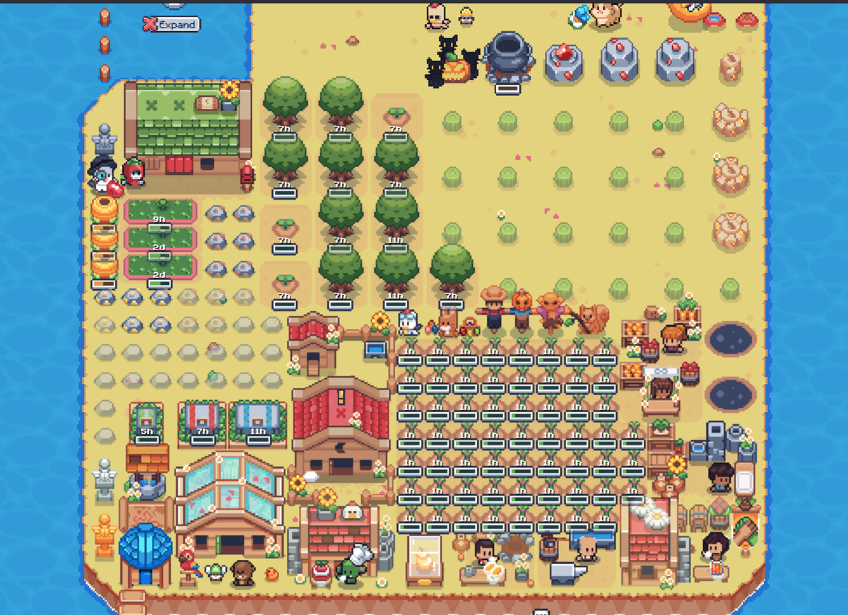 #SunflowerLandWeekly