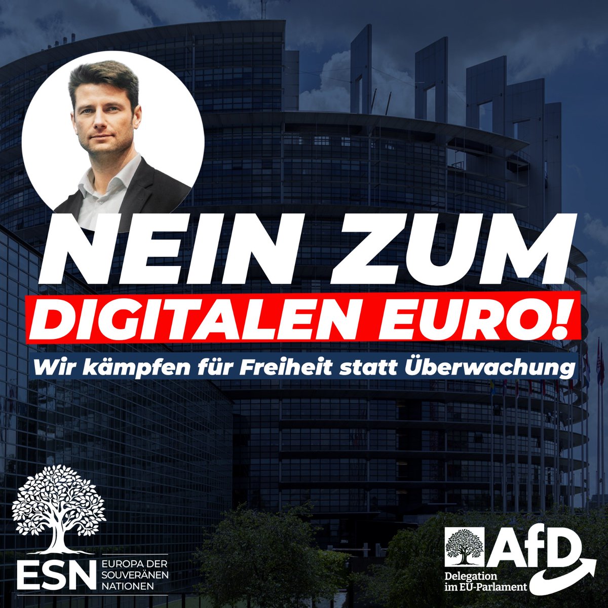 AfD im EU-Parlament tweet media