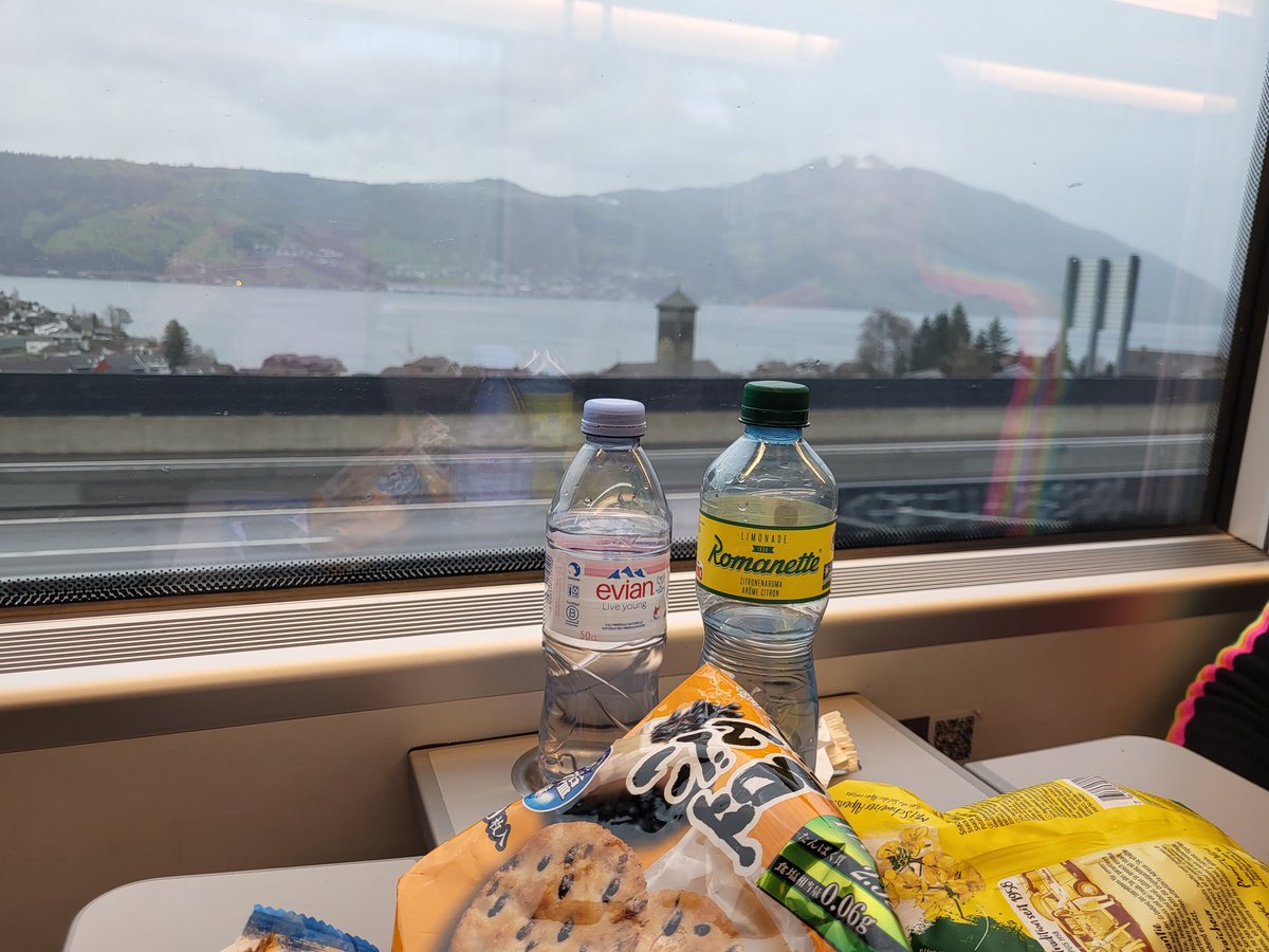 FRENCH BULDOG tweet media