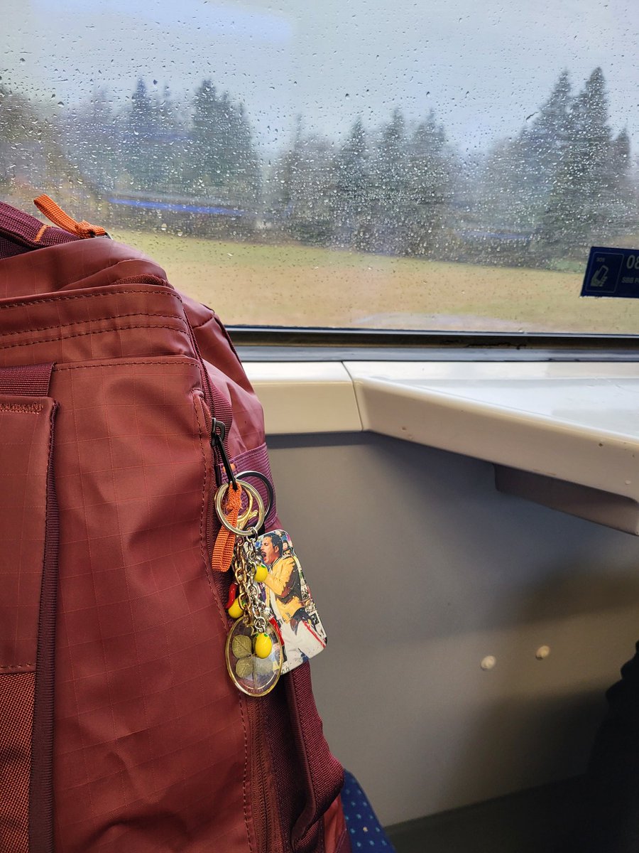 FRENCH BULDOG tweet media