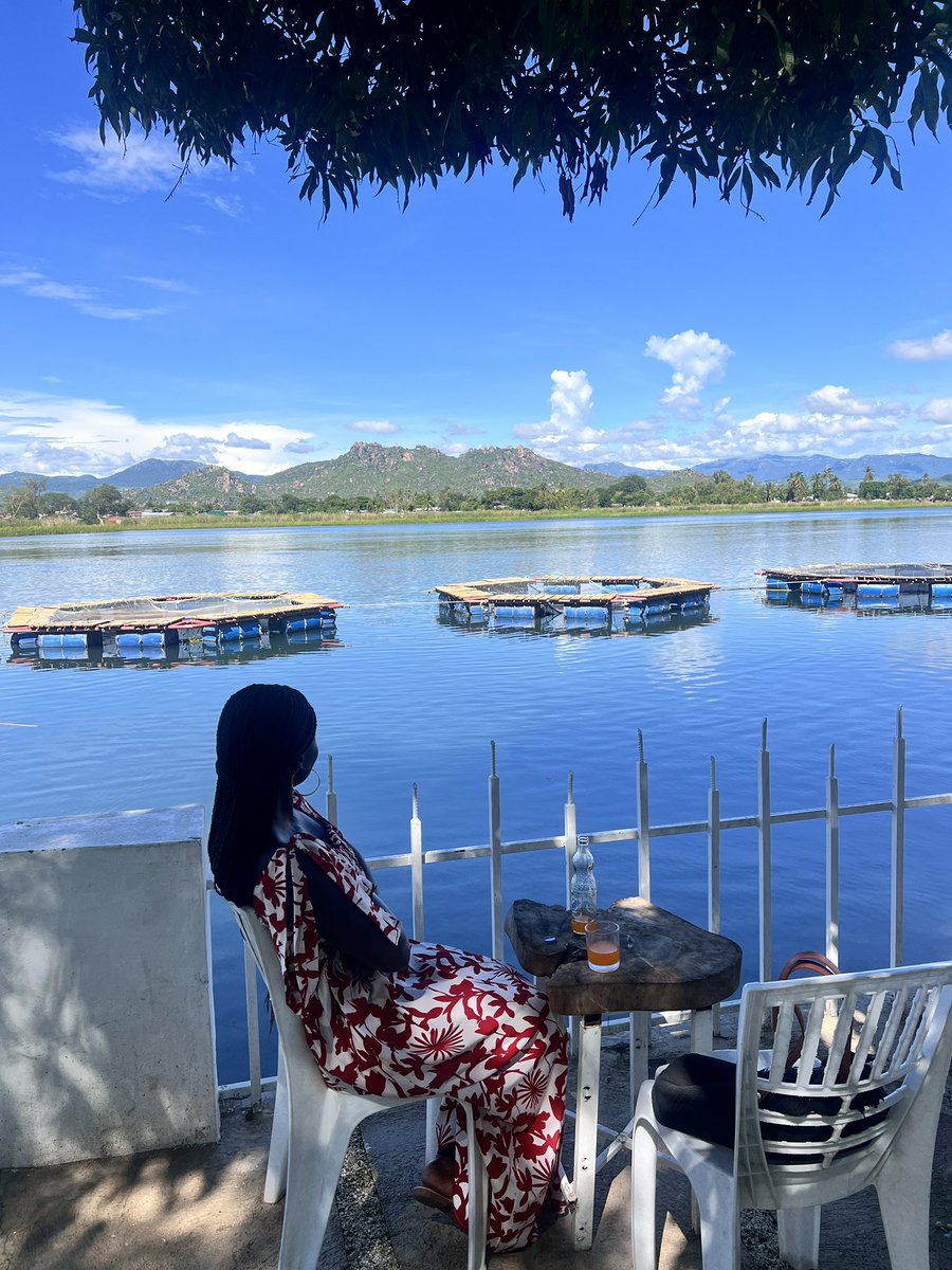 The beauty of Malawi 🇲🇼 through my lens 
#africa