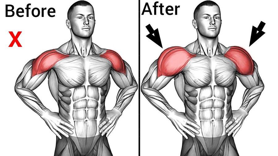 Thought_Scope's tweet photo. 6 Best Shoulder Building Workouts:

-Thread- https://t.co/0n1qCbppWV