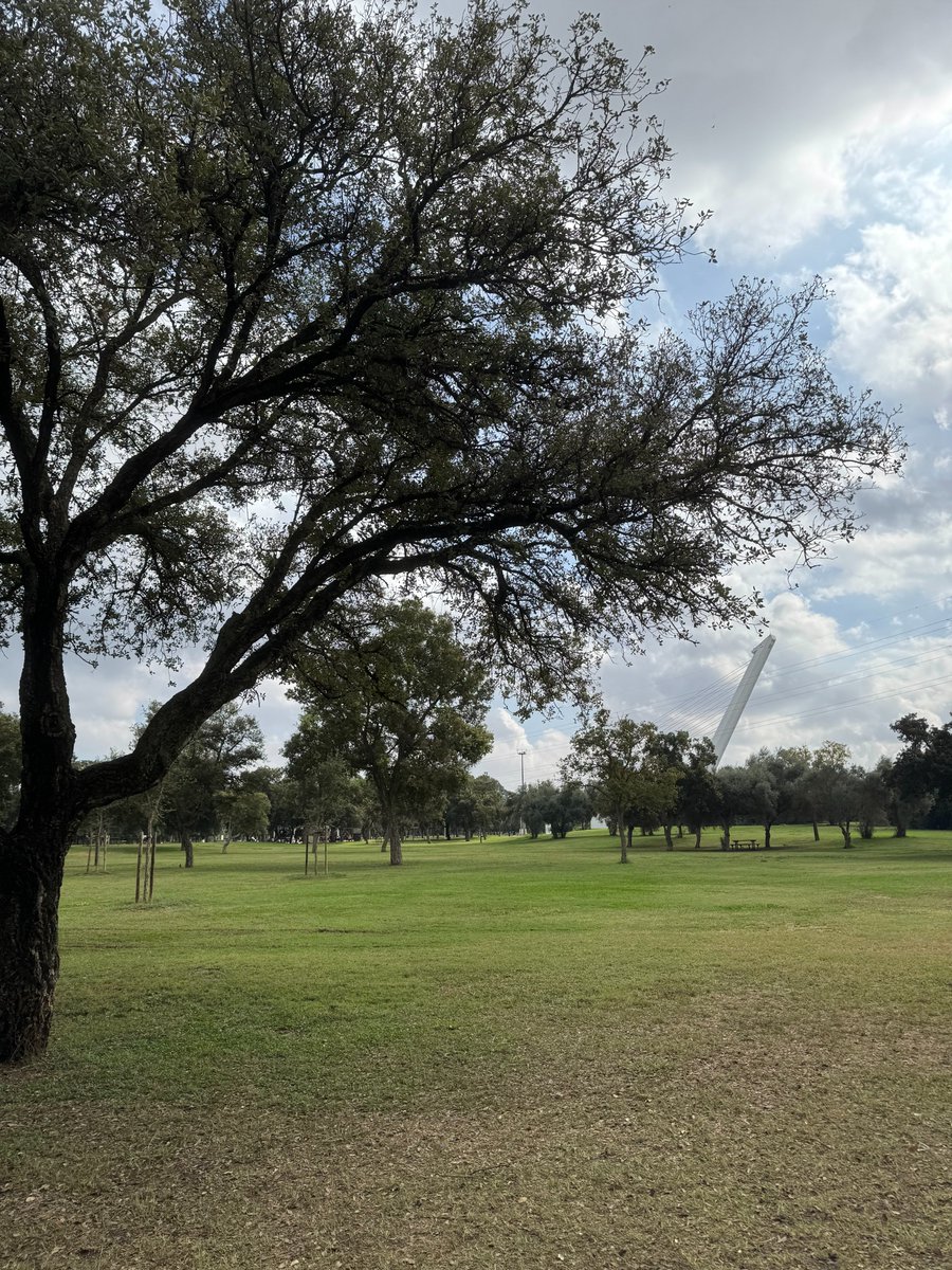 Parque del Alamillo tweet media