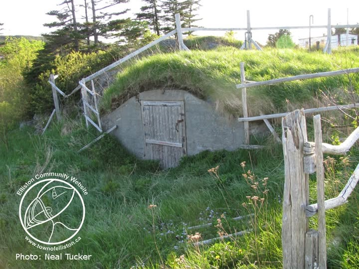 Town of Elliston tweet media