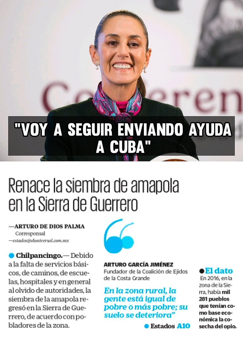 Melissa Ⓜ️ tweet media