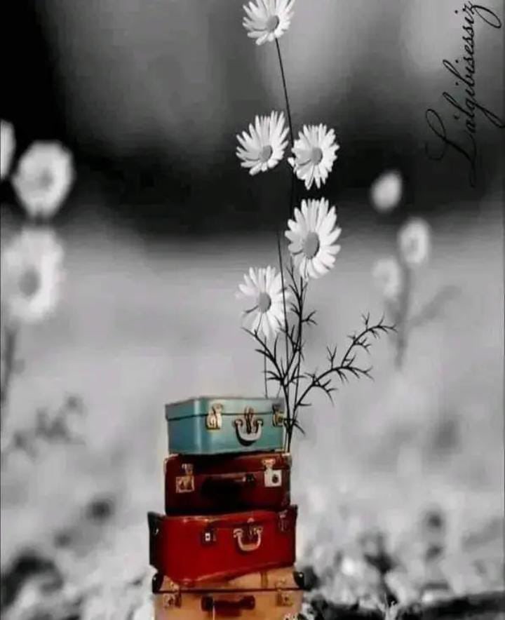 جَسَدُ المَعرِفَة .. 🐧🐧 tweet media