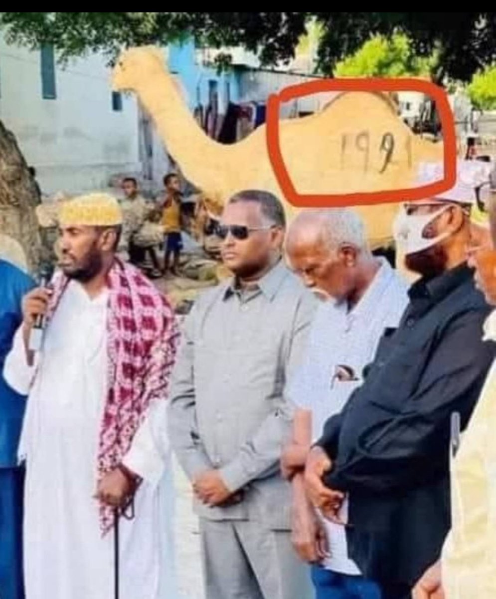 G.MulMuli tweet media