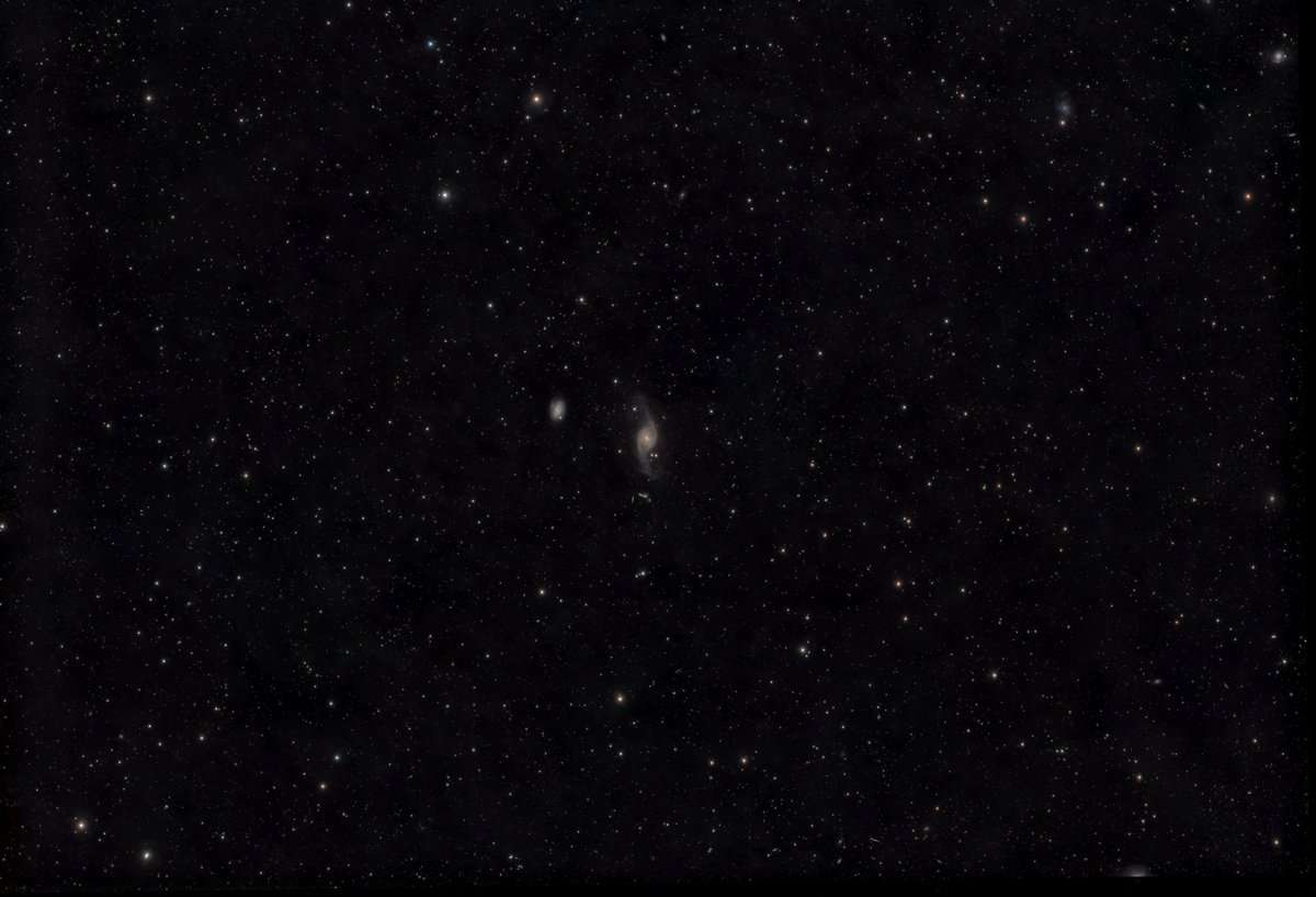 ohzak1's tweet photo. 渦巻銀河: NGC 3718 & NGC 3729, 銀河群: Arp 322 (HCG 56)
L: 120s x 303, gain120, IR640
RGB: 30s x 30, gain120, CBP
総露光時間: 10時間21分
以前C9.25で撮影したときはNGC 3718の上下部分があまり写らなかったのでRASA8で撮影
NGC 3718の下のごちゃっとした部分がArp 322 (HCG 56)
#RASA8 https://t.co/JImCti3Ka2