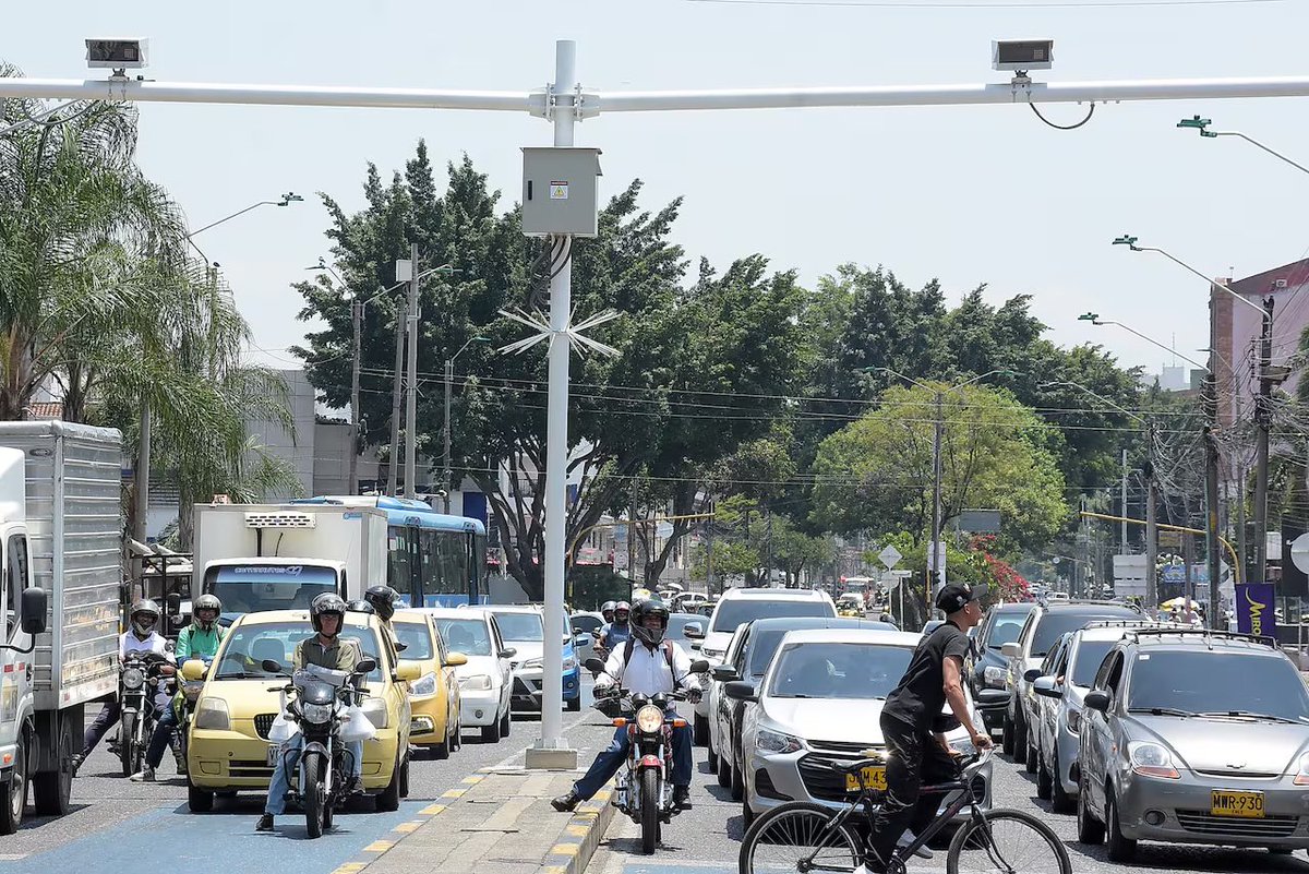 María del Carmen tweet media
