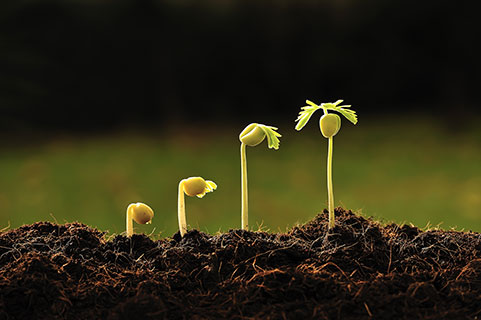 CPLConsult's tweet photo. Today's case study... CPL Business #Consultants profiled 48 areas of opportunity in soil health, recommending 6 priority areas for further investigation.  https://t.co/rsdbZiZjN1 #cplconsult #ingredients #strategy https://t.co/ljOnRDXMw8