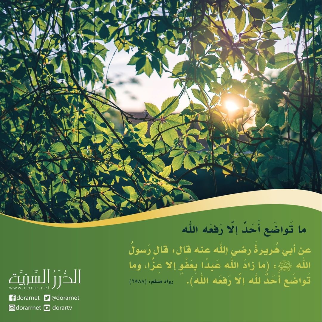 dorarnet's tweet photo. «ما تواضع أحد إلا رفعه الله..» https://t.co/mEbmZMlZFs
