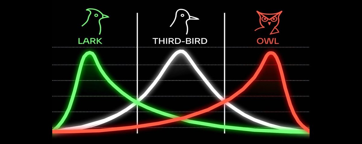 Know Your Chronotype, It'll Change Your Life.