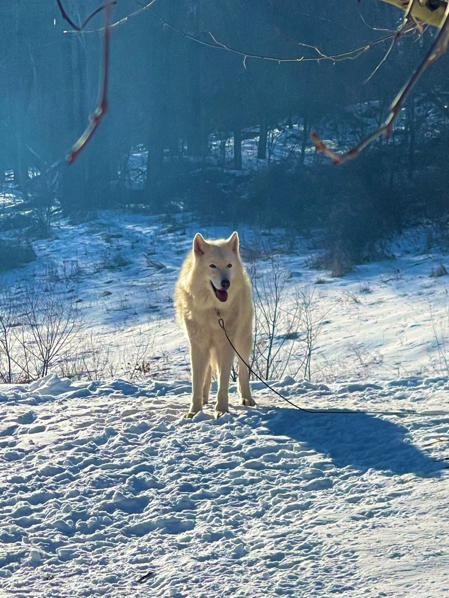 JustKatelyn. tweet media