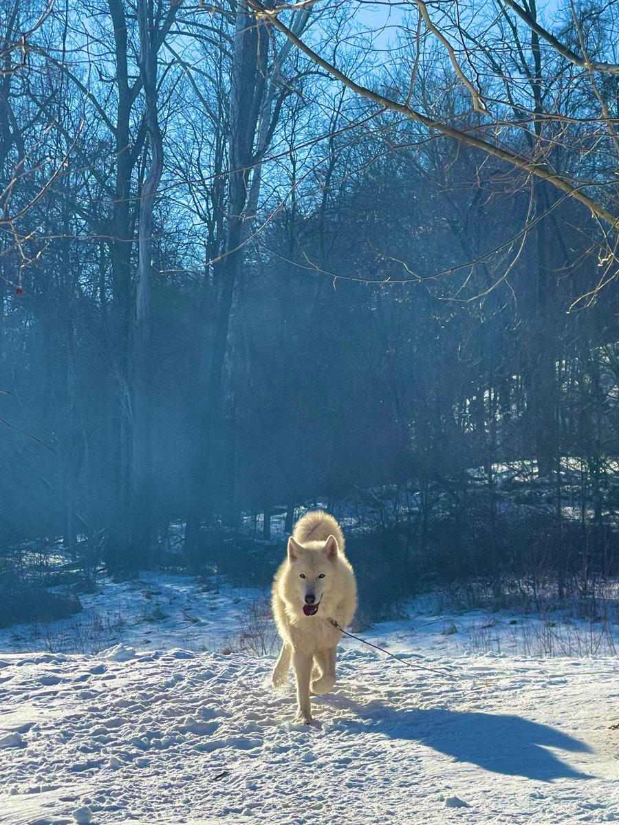 JustKatelyn. tweet media