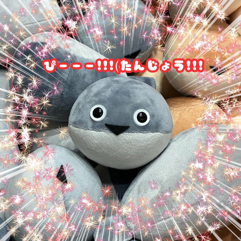 まめた@ 2/8 WF 4-24-05 まめルート工房 (@mametacos) / Posts / X