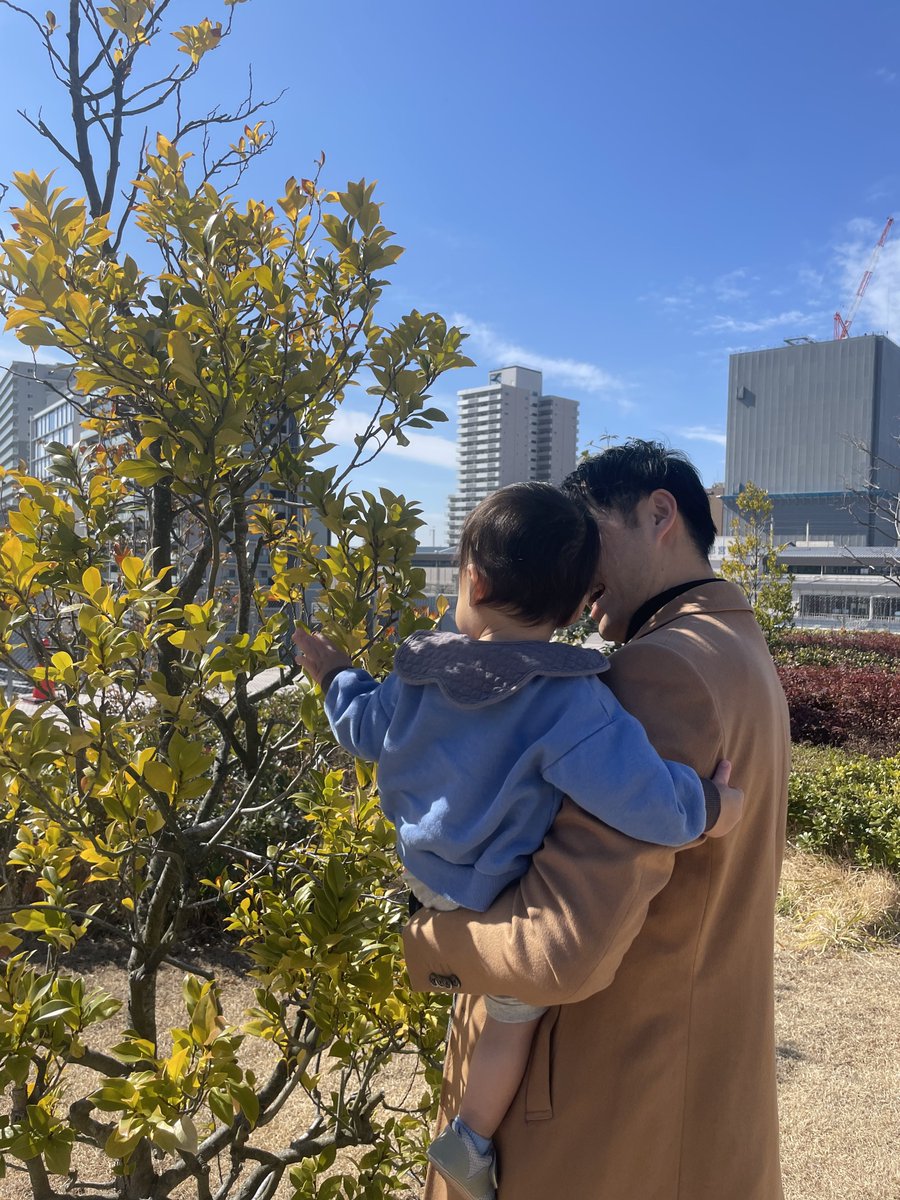 mikka_saaan's tweet photo. 世の中のパパへ。
ママもこーゆう写真が欲しいです。 https://t.co/IalGBdBktC