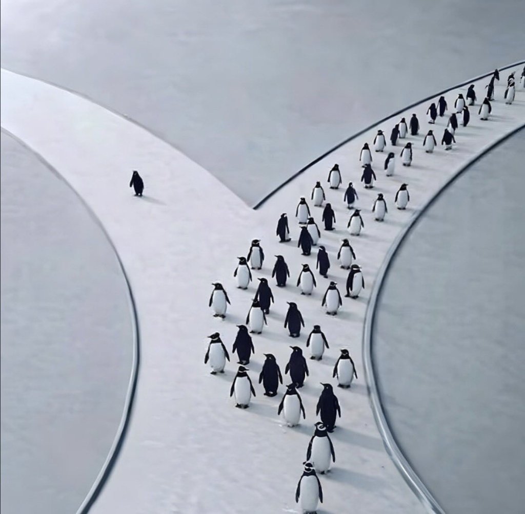 be the penguin $PENGUIN