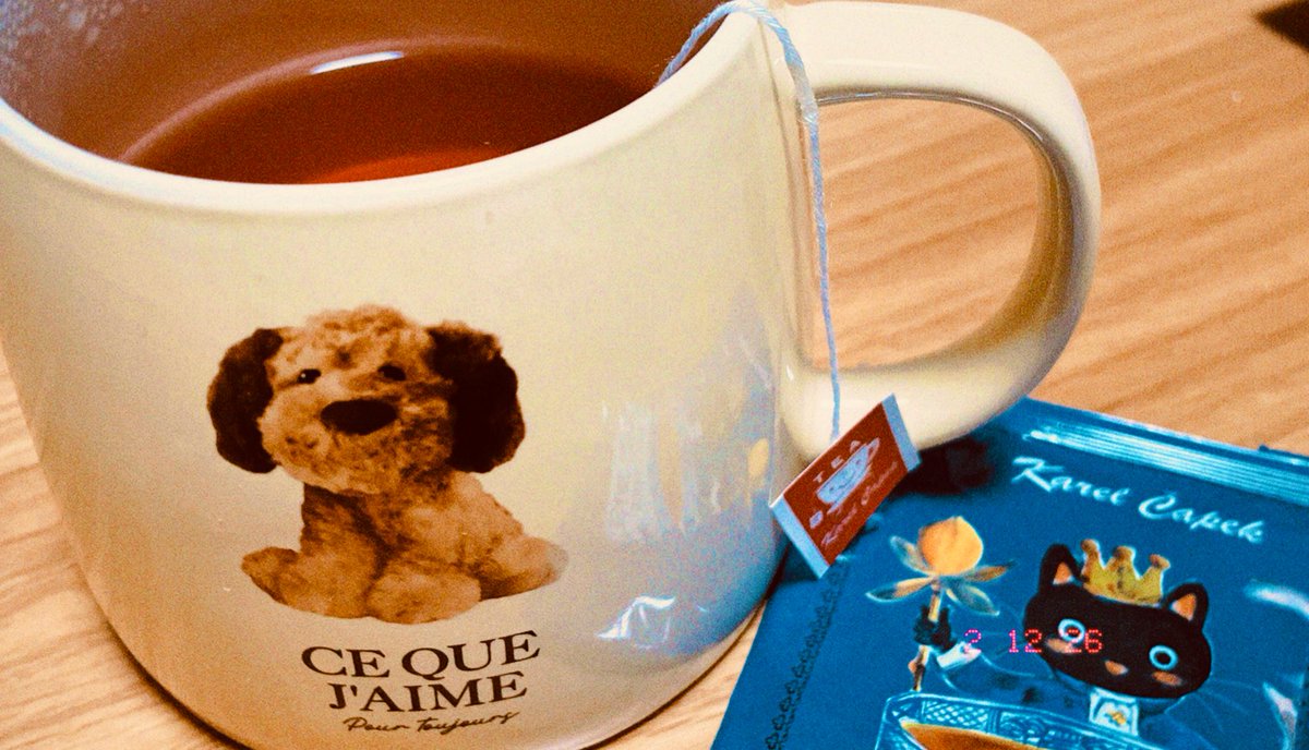 一目惚れしたわんちゃんマグ☕️🐶♡