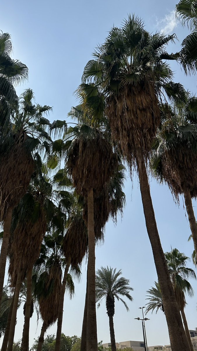 ꜰᴀᴊʀ tweet media