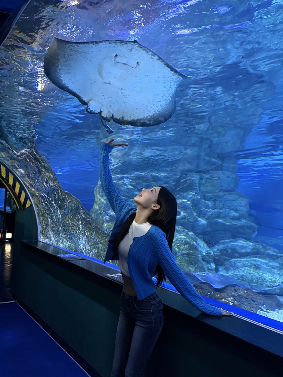 RESCENE_twt's tweet photo. 💚원이💚

바닷속 리센느 만난 날 🫧🦭🐬🐢🪼🐠

#WONI #원이 #ウォニ
#RESCENE #리센느 #リセンヌ https://t.co/5YgX4p5GO7