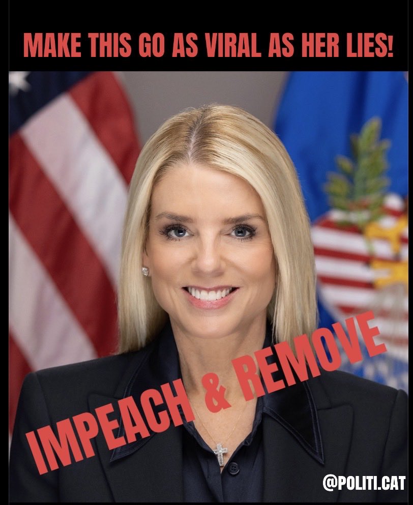 LiberalCat tweet media