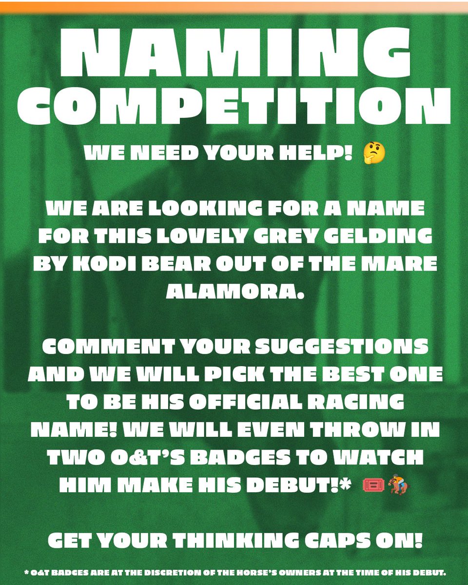 Tim Easterby Racing tweet media