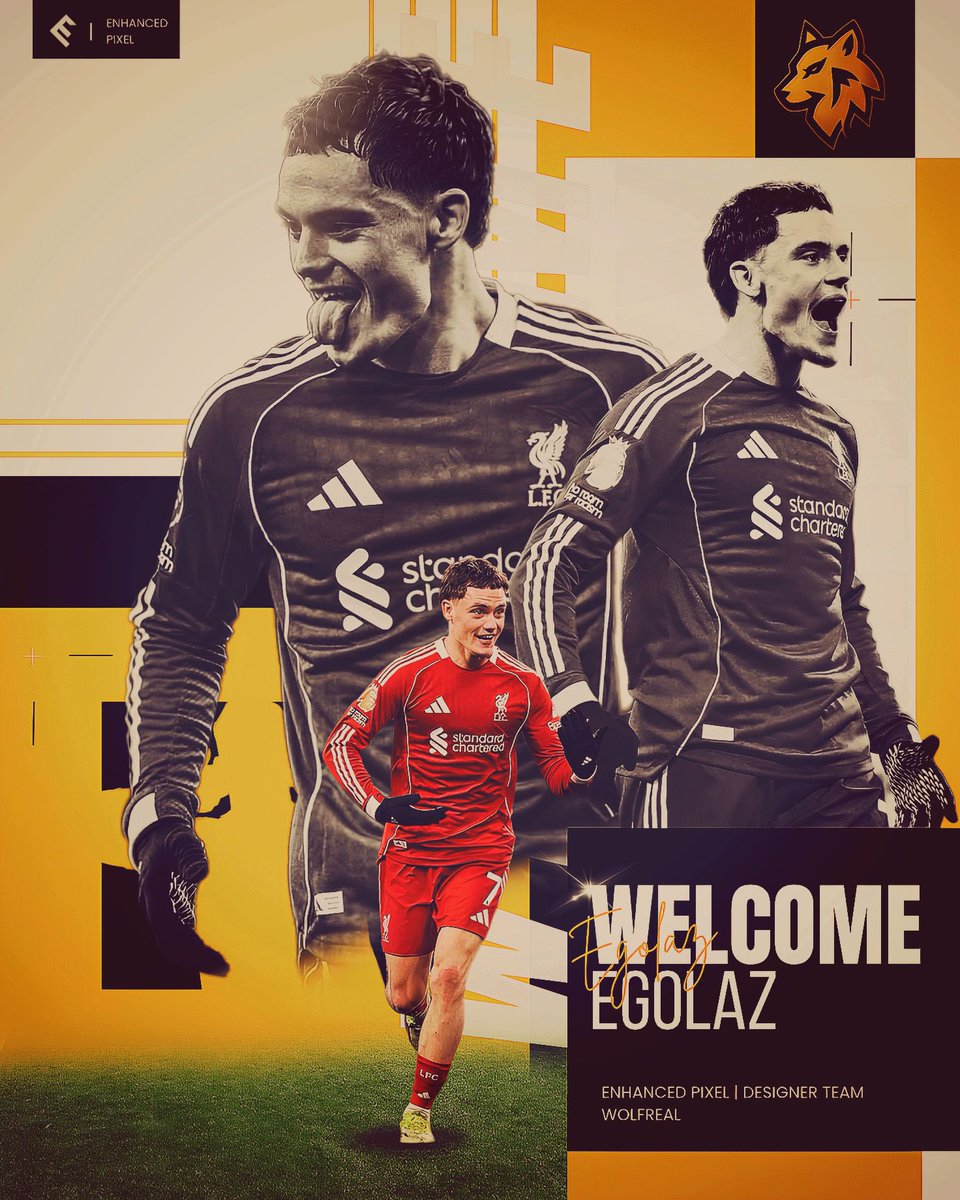 IIP WOLFREAL tweet media