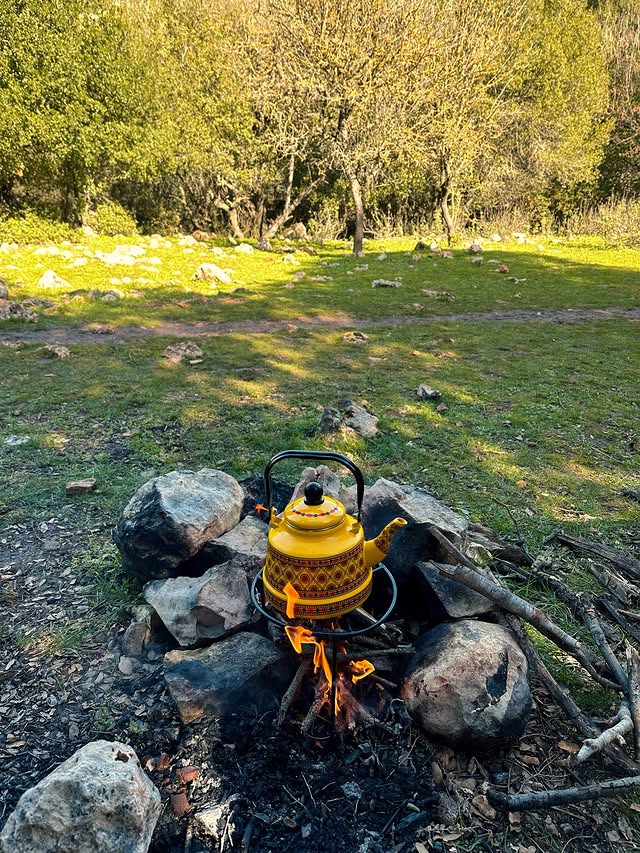 زوروا الأردن tweet media