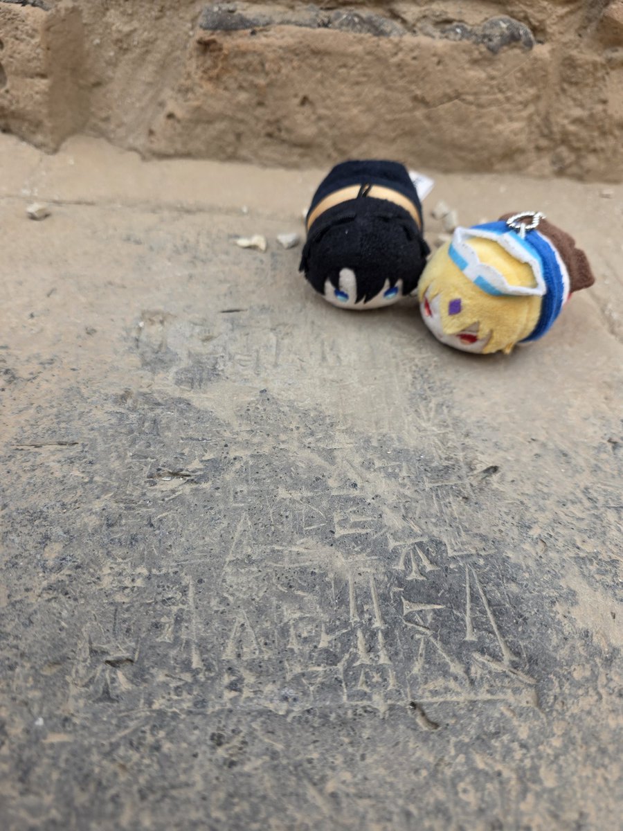 人間を踏みつけるライオン像
顔は欠けてるけどレプリカではなく本物
戦争を仕掛けるならこうなるぞという王の力を誇示している
近くの柱？にも楔形文字が
#バヒロン