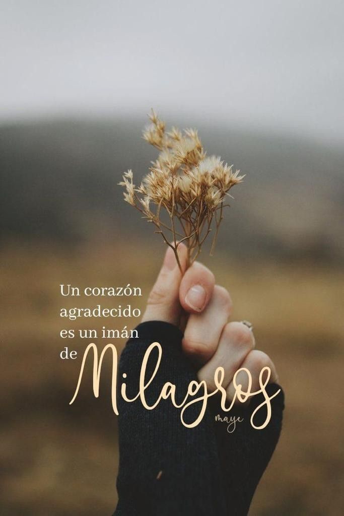 bollecochile's tweet photo. Buenos días mundo X .
☕️🤗✨️❤️ https://t.co/kLtZI49D2x