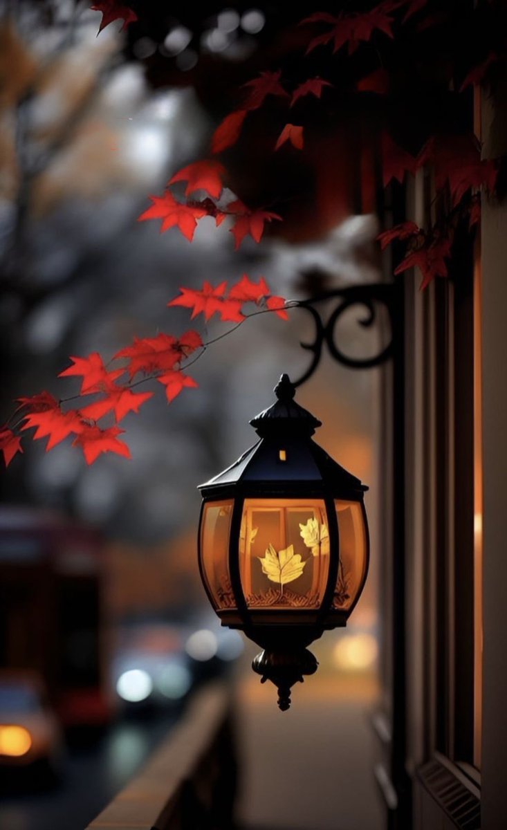 "هناك أشخاص عندما تلتقي بهم 
تشعر وكأنك التقيت بنفسك."♥️

.

 #مساء_الخير