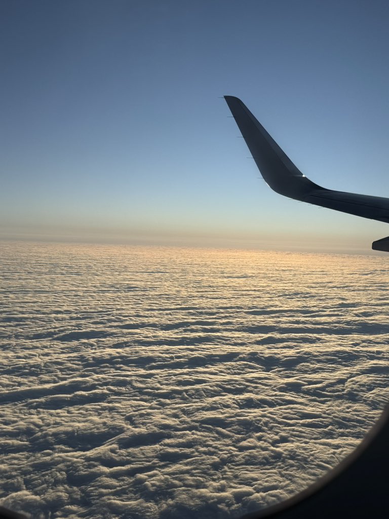 ᴊɪᴍ tweet media