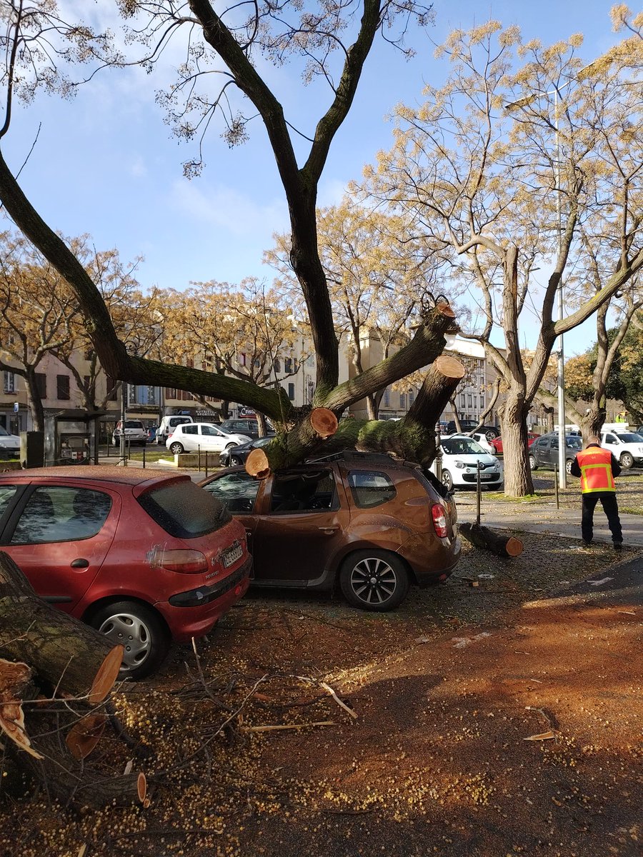 Image de Préfet de l'Aude - Face à la tempête Nils, la prudence n’est pas une option : c’est une nécessité.
Merci à tous les ac