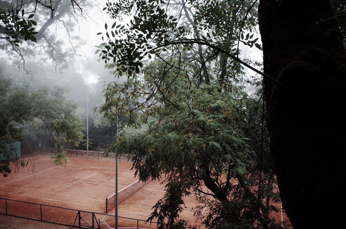 Andrea Intg. tweet media