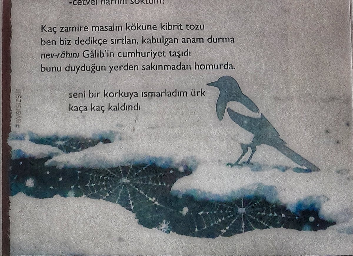 AYARSIZ - 120 | Kitsch-niş, Orobanche ve Daha Neler...

bahçede saksağan kazmadan kaçar
anlamsız deyimler, güme saklandın

#ayarsızdergi 
#ayarsız
#türkşiiri 
#yaşasıncumhuriyet