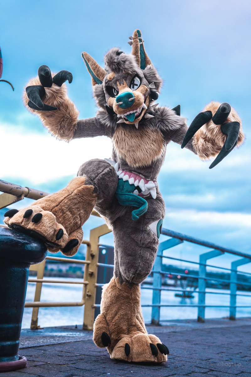 🖤Mutt🖤🔜CFZ tweet media