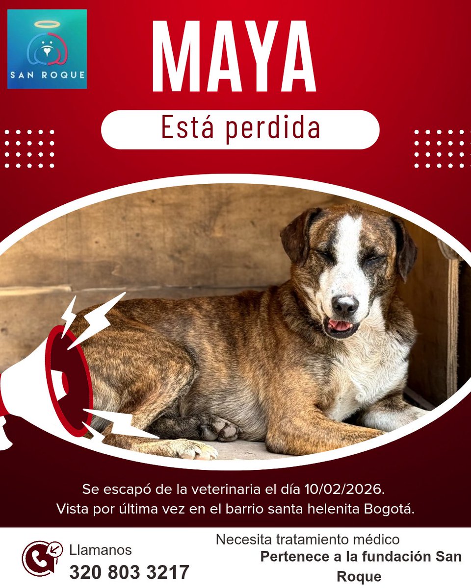 🚨 BUSCAMOS A MAYA 🚨

El día 10/02/2026 llevamos a Maya al veterinario y, lamentablemente, se escapó del lugar. Desde entonces no hemos logrado ubicarla.

⚠️ Maya tiene un tumor y necesita tratamiento médico urgente, por eso es muy importante encontrarla lo antes posible.

🐶 Es