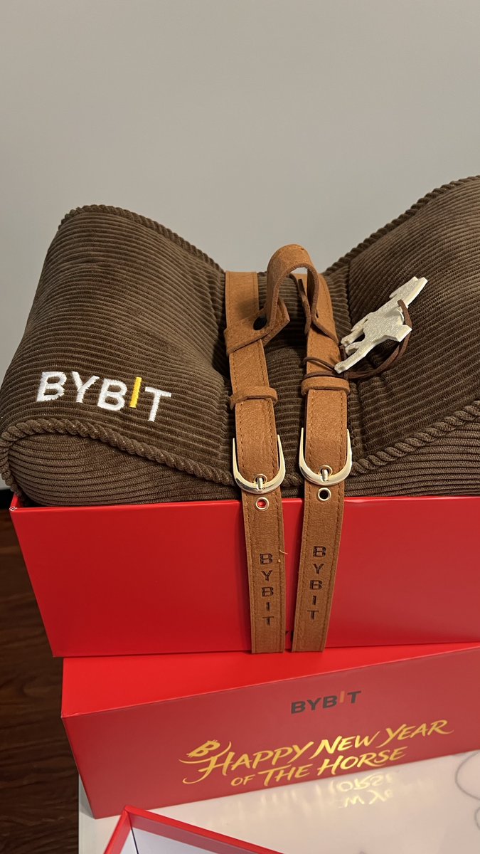 JZ_JP_Crypto's tweet photo. 感谢@JJJ8677 送来的 @Bybit_Official 新年大礼包🎁🥳 https://t.co/VI4ihvQMlt