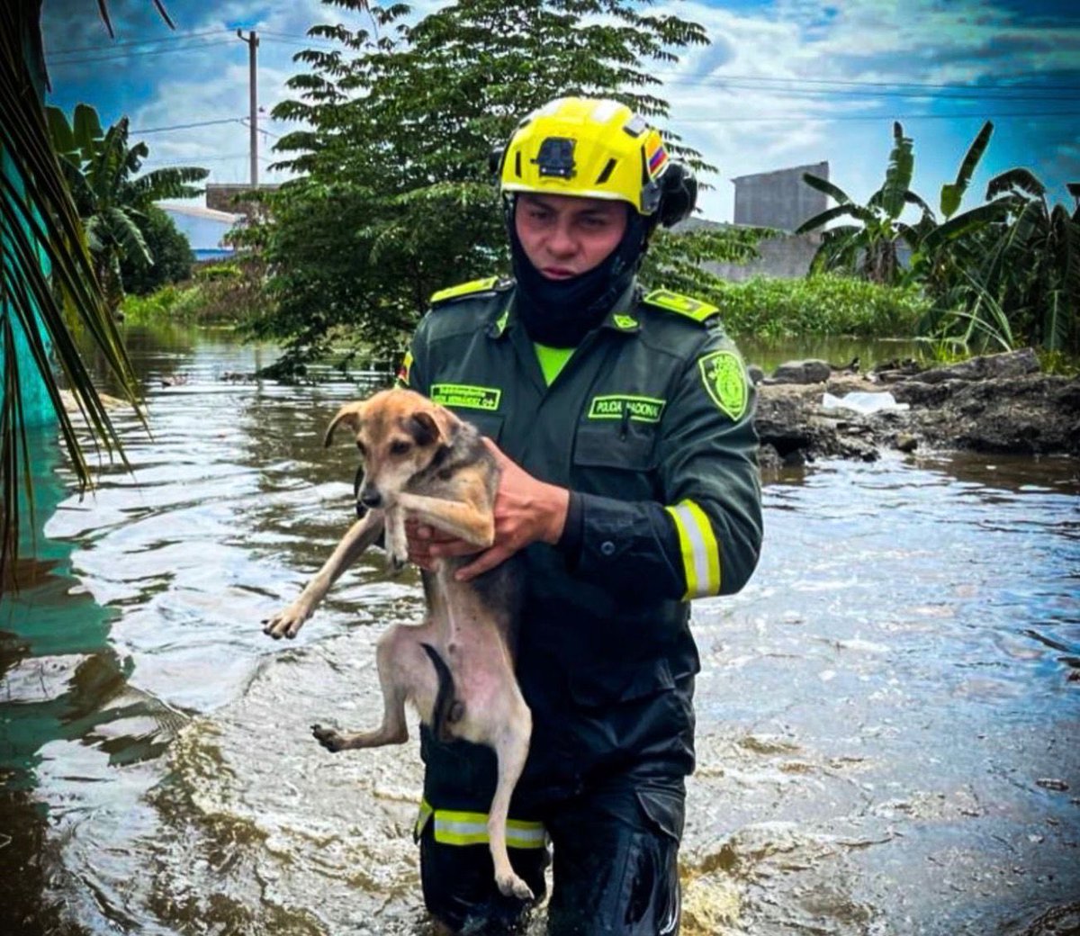 𝐂Ó𝐑𝐃𝐎𝐁𝐀 𝐍𝐎 𝐄𝐒𝐓Á 𝐒𝐎𝐋𝐀

Proteger la vida es la prioridad de nuestros militares, policías y voluntarios de la defensa civil.
Ante las inundaciones en Montería y varios municipios de Córdoba, el Estado avanza y permanece con una operación humanitaria para proteger a la
