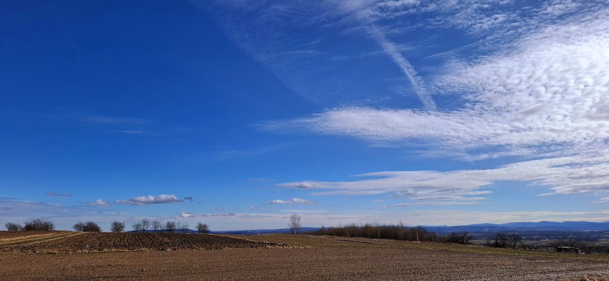 marcin_ra's tweet image. Epizod wiosenny pod Krakowem 
13C🌡 🌤
#Cyclinglife 🚴‍♂️