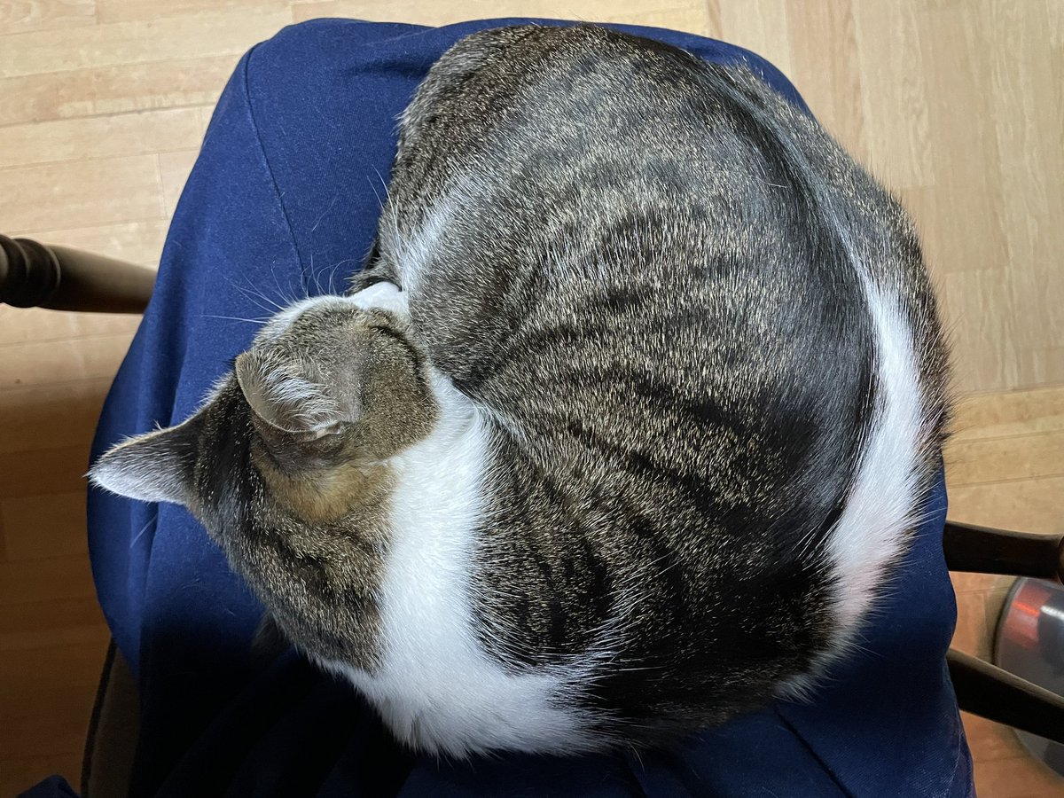 タラちゃんだよ