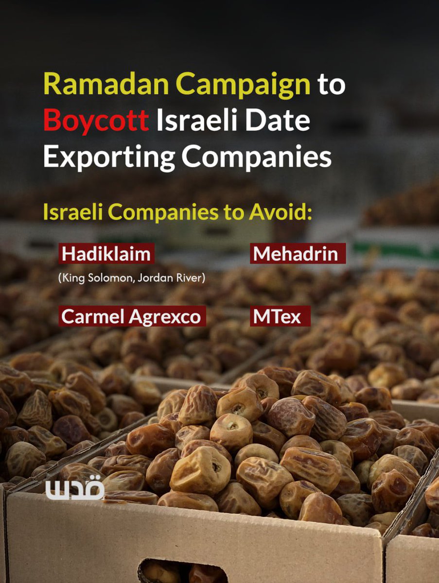 Quds News Network tweet media