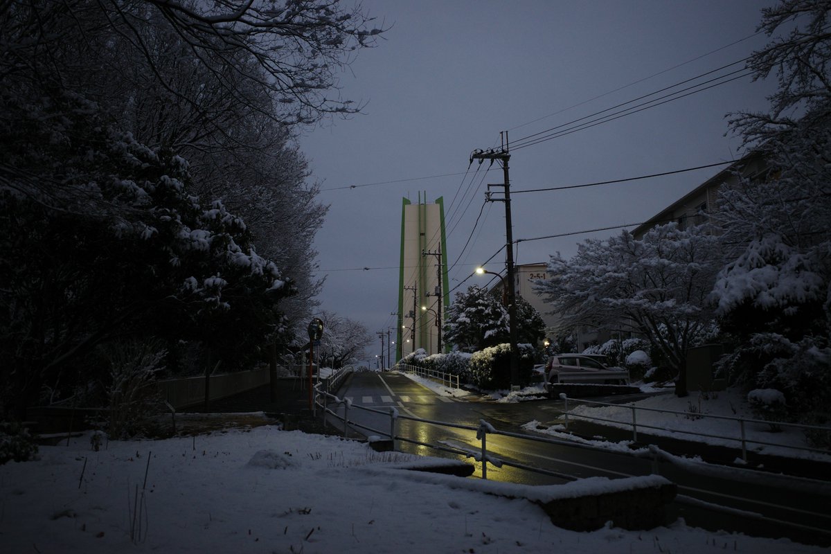雪の写真って撮ったその日にあげないと意味ないね……すっかり解けてしまった今見ても「冬なんだから雪の積もる日もあるんちゃうの」という感想しかわいてこない。