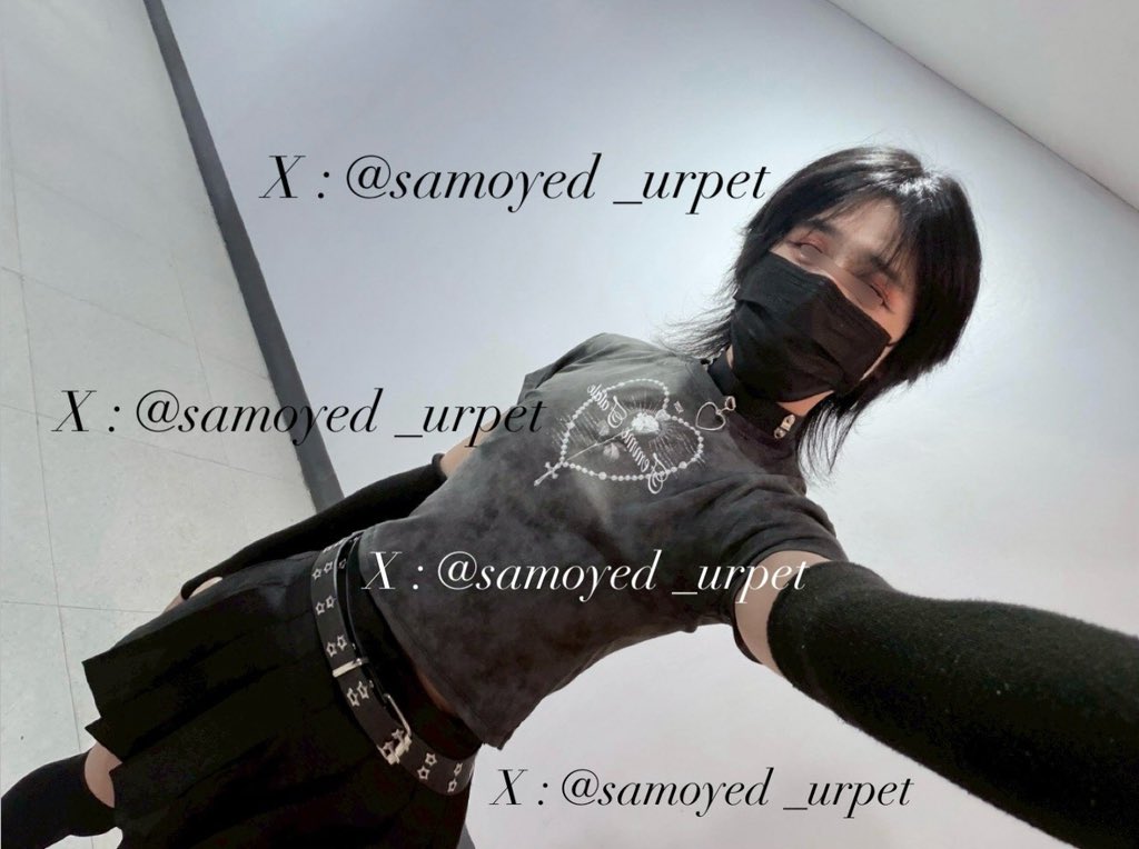 samoyed_urpet's tweet photo. กลับมาแย้วทุกโคนนนน https://t.co/H4Z1Qet3n6